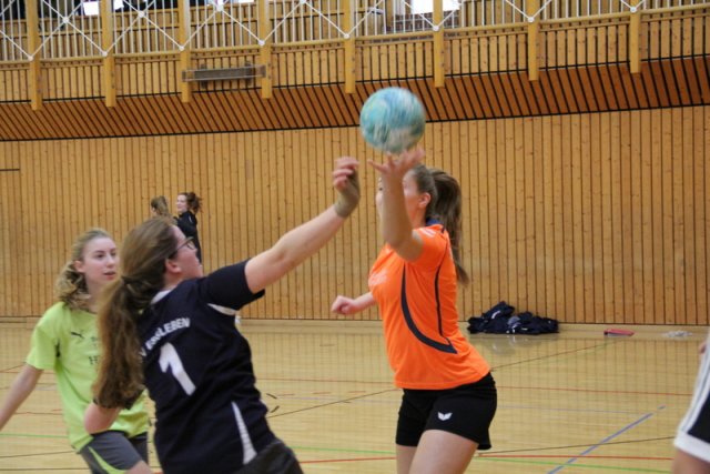 2016_02_14 Landesliga Jugend 19
